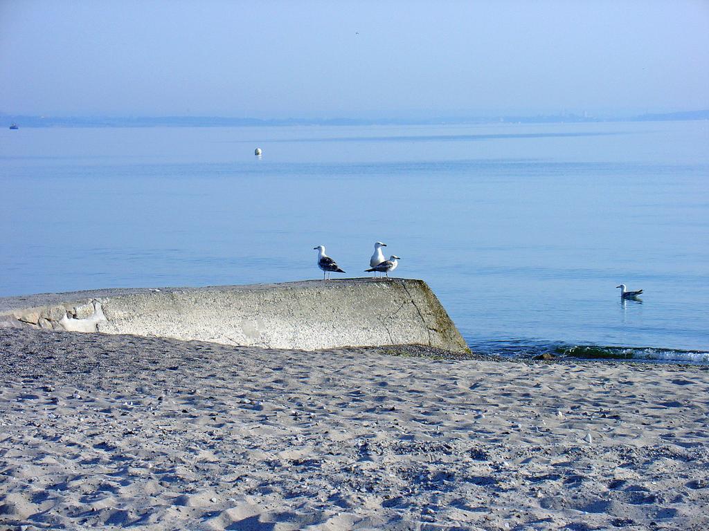 Fewo Machedanz Am Hafen Timmendorfer Strand Ot Niendorf Exterior photo